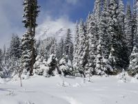 Historic Paradise Inn building in winter snow